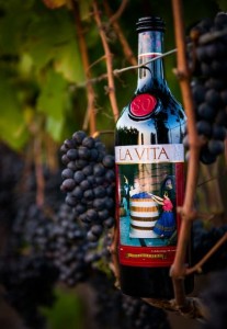 About La Vita 1